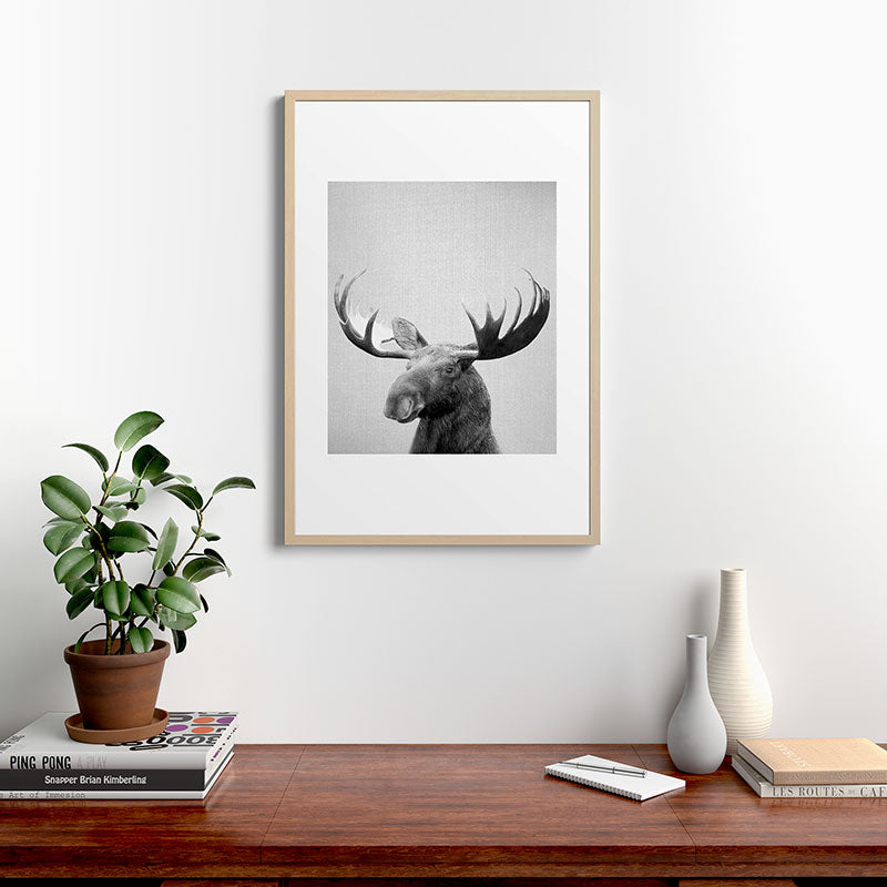 Moose - Black & White Framed Art Print Gallery Image 28