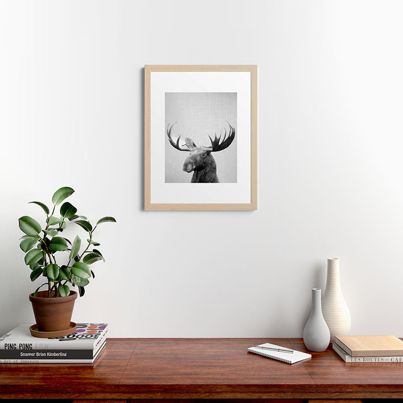 Moose - Black & White Framed Art Print Gallery Image 64
