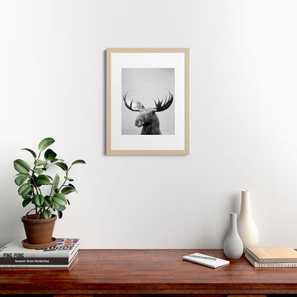 Moose - Black & White Framed Art Print Gallery Image 64