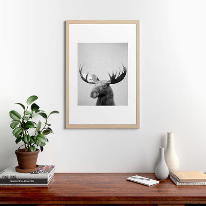 Moose - Black & White Framed Art Print Gallery Image 65