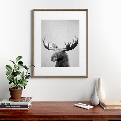 Moose - Black & White Framed Art Print Gallery Image 19