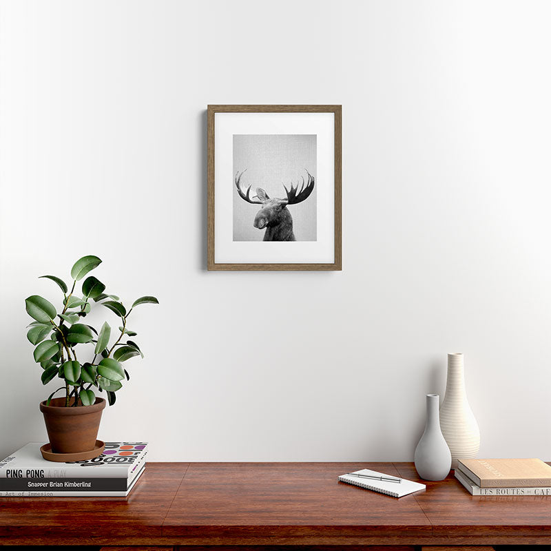 Moose - Black & White Framed Art Print Gallery Image 15