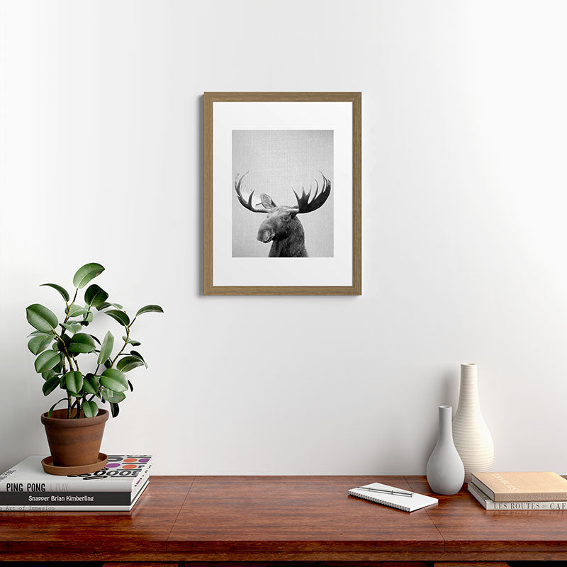 Moose - Black & White Framed Art Print Gallery Image 54