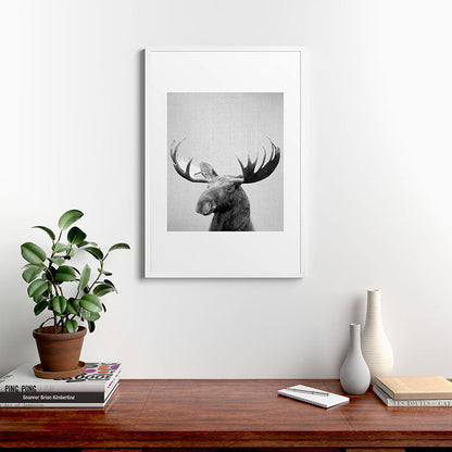 Moose - Black & White Framed Art Print Gallery Image 37