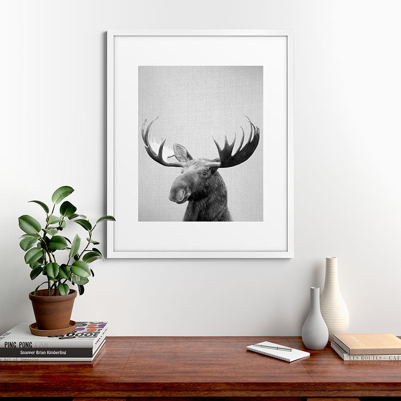 Moose - Black & White Framed Art Print Gallery Image 76