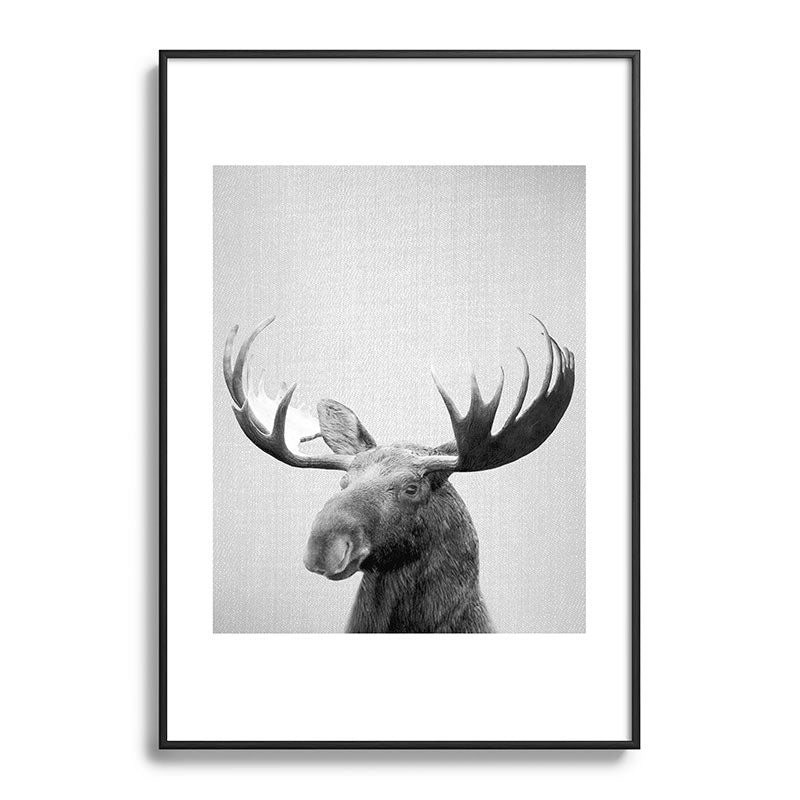 Moose - Black & White Framed Art Print Gallery Image 113