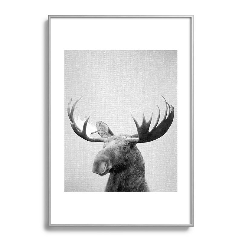 Moose - Black & White Framed Art Print Gallery Image 132