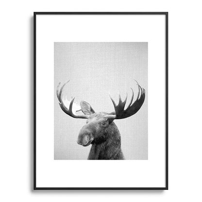 Moose - Black & White Framed Art Print Gallery Image 115