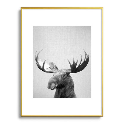 Moose - Black & White Framed Art Print Gallery Image 125