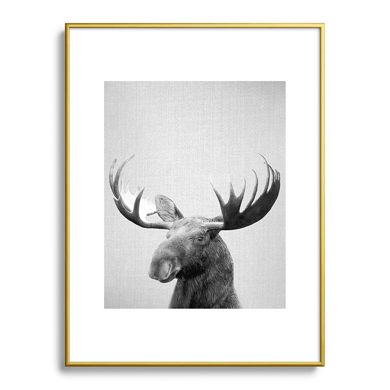 Moose - Black & White Framed Art Print Gallery Image 124