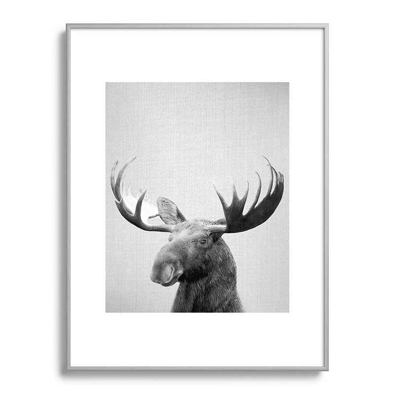 Moose - Black & White Framed Art Print Gallery Image 135