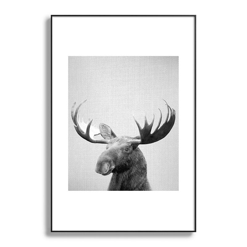 Moose - Black & White Framed Art Print Gallery Image 117