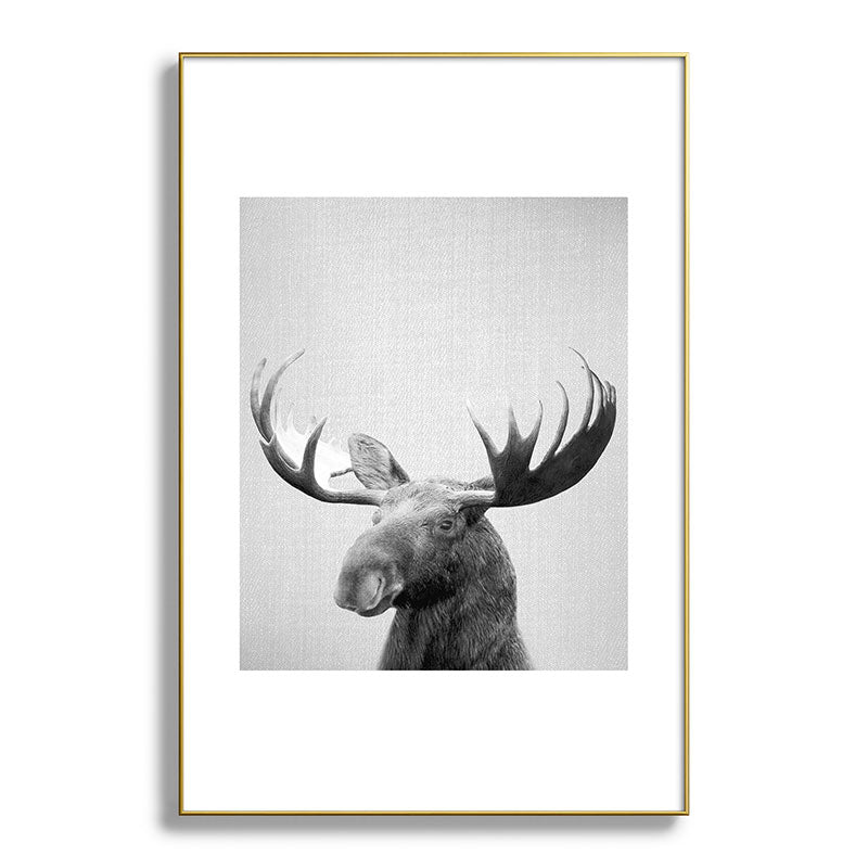 Moose - Black & White Framed Art Print Gallery Image 128