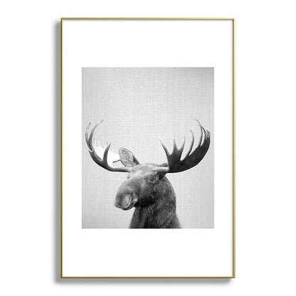 Moose - Black & White Framed Art Print Gallery Image 127