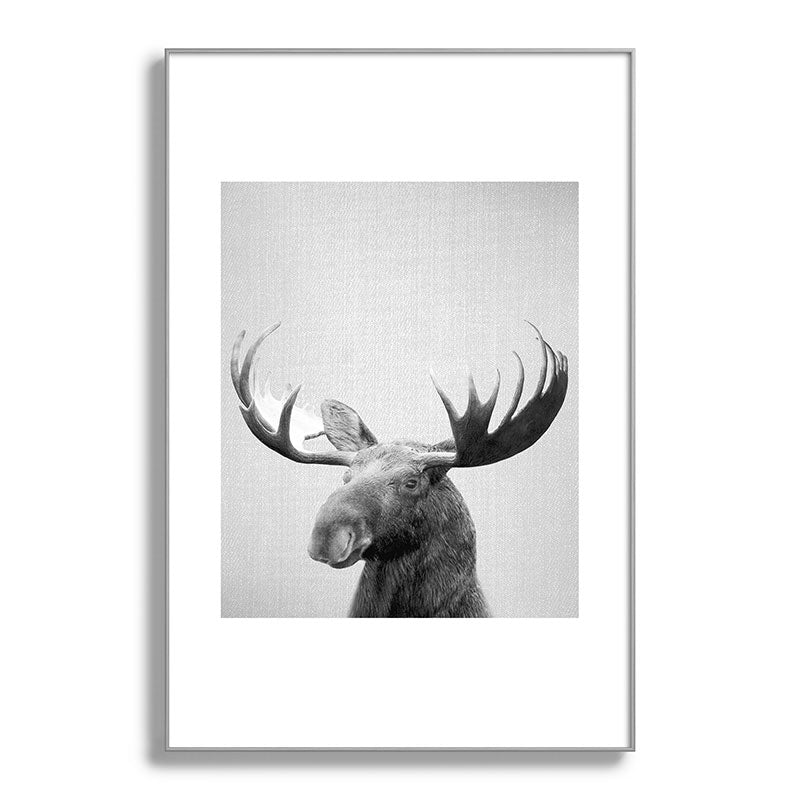 Moose - Black & White Framed Art Print Gallery Image 138