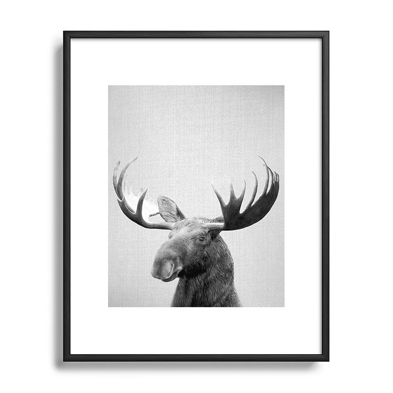 Moose - Black & White Framed Art Print Gallery Image 111