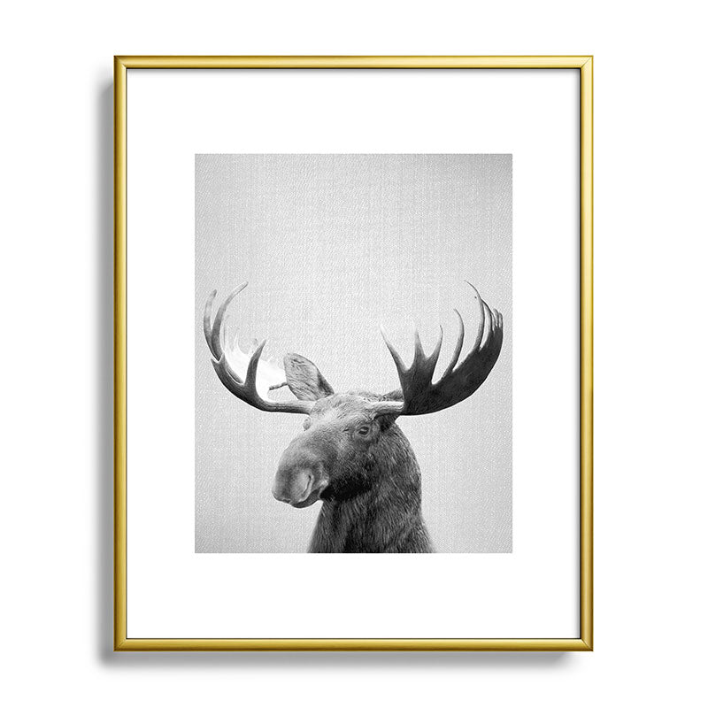 Moose - Black & White Framed Art Print Gallery Image 120