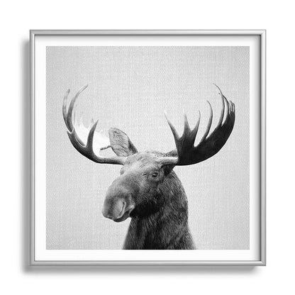 Moose - Black & White Framed Art Print Gallery Image 140