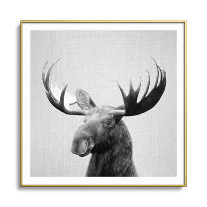 Moose - Black & White Framed Art Print Gallery Image 136