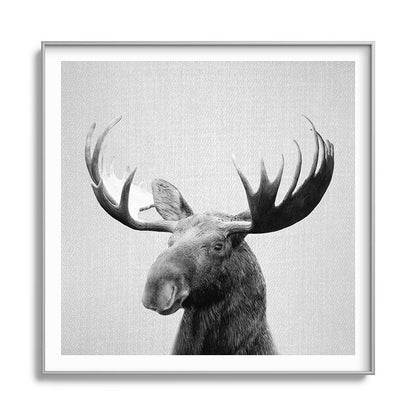 Moose - Black & White Framed Art Print Gallery Image 141