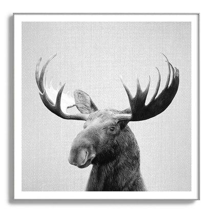 Moose - Black & White Framed Art Print Gallery Image 142