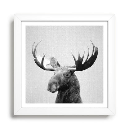 Moose - Black & White Framed Art Print Gallery Image 35