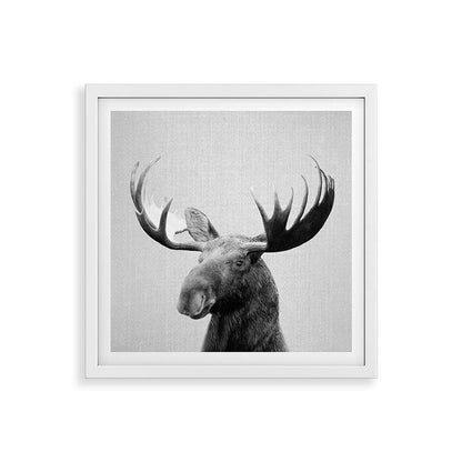 Moose - Black & White Framed Art Print Gallery Image 38