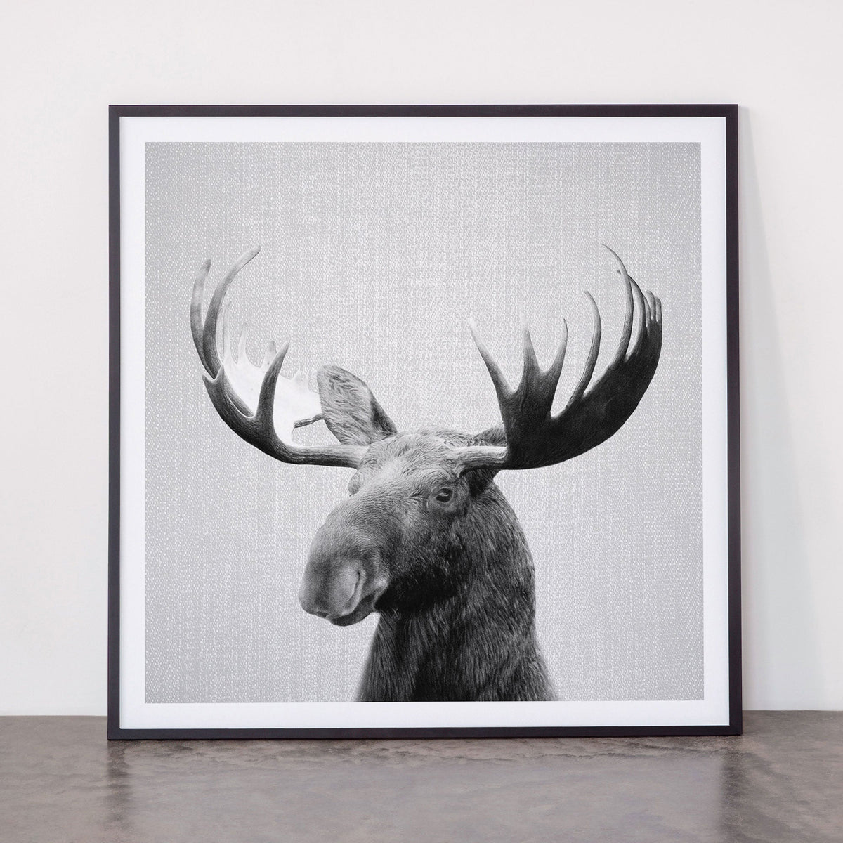 Moose - Black & White Framed Art Print Gallery Image 11