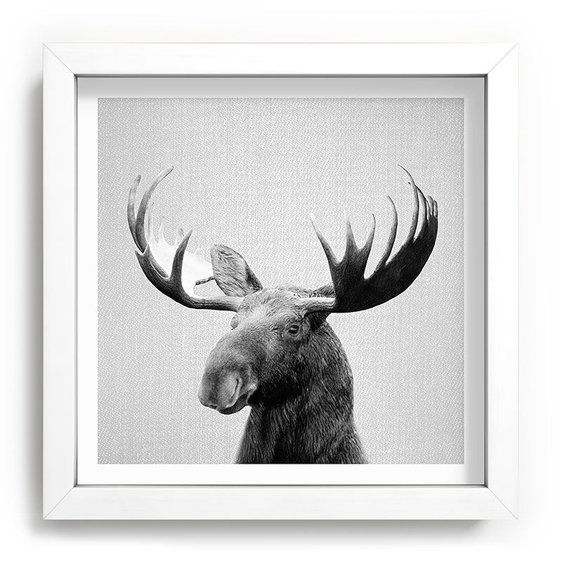 Moose - Black & White Framed Art Print Gallery Image 114