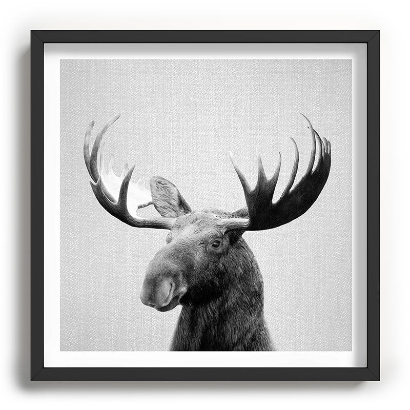 Moose - Black & White Framed Art Print Gallery Image 93