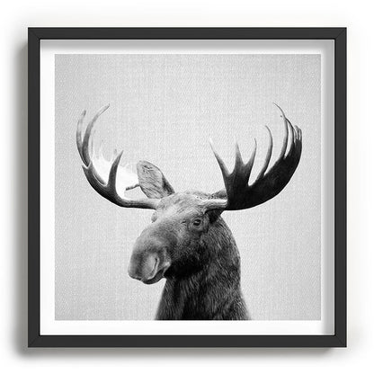 Moose - Black & White Framed Art Print Gallery Image 93
