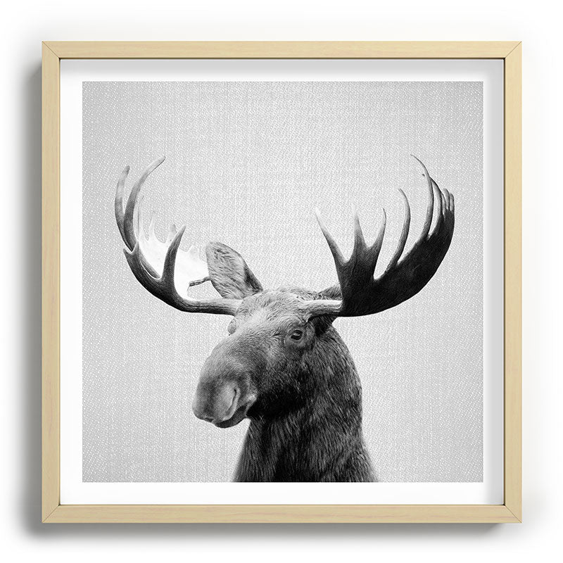 Moose - Black & White Framed Art Print Gallery Image 109