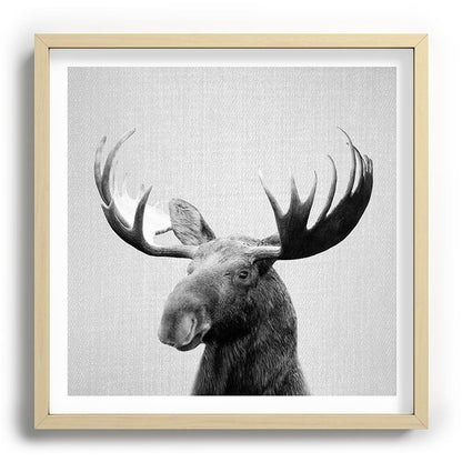 Moose - Black & White Framed Art Print Gallery Image 109