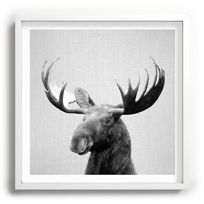 Moose - Black & White Framed Art Print Gallery Image 118
