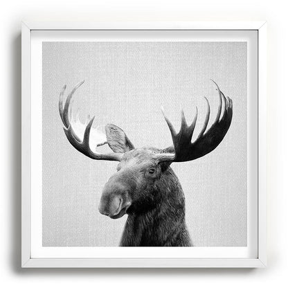 Moose - Black & White Framed Art Print Gallery Image 118