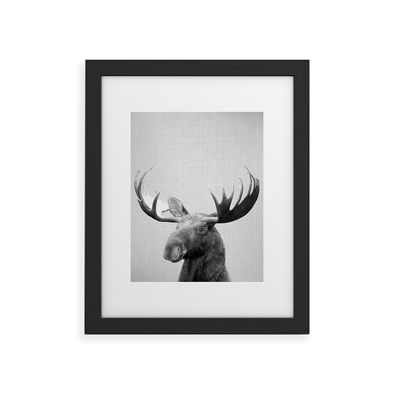 Moose - Black & White Framed Art Print Gallery Image 45
