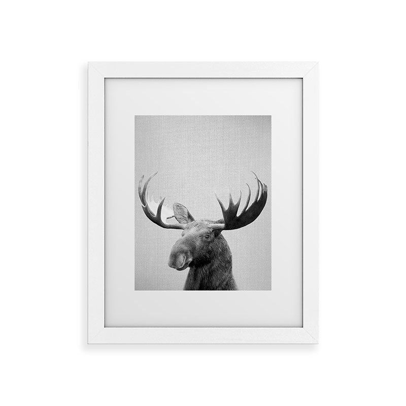 Moose - Black & White Framed Art Print Gallery Image 69