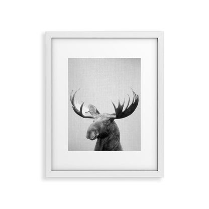 Moose - Black & White Framed Art Print Gallery Image 30