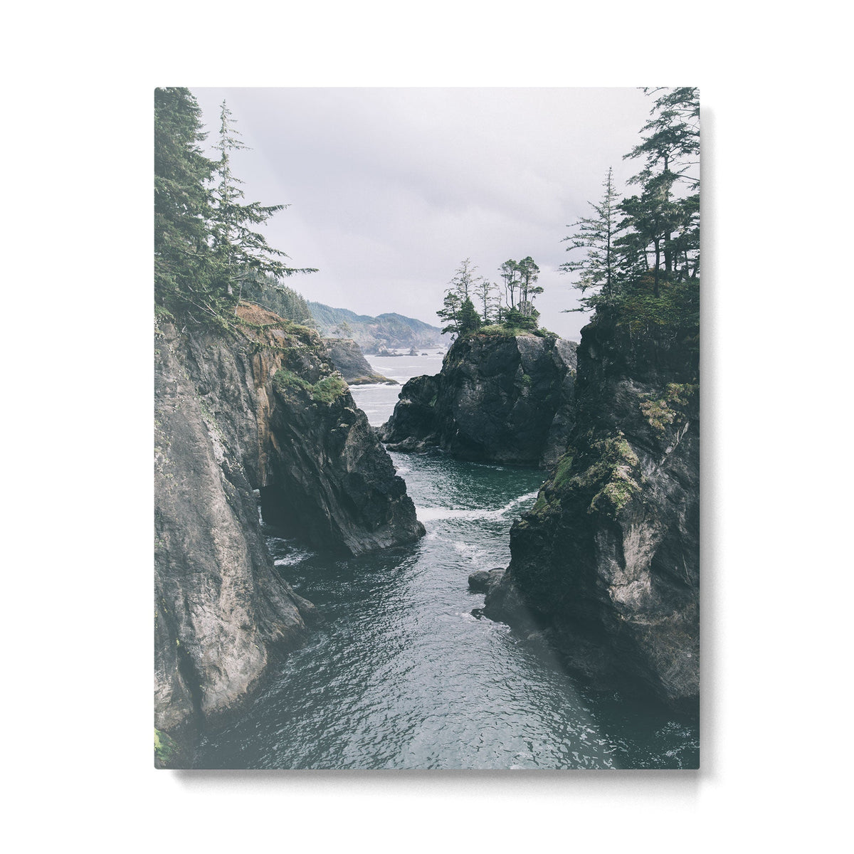 Samuel H. Boardman Metal Print Gallery Image 2