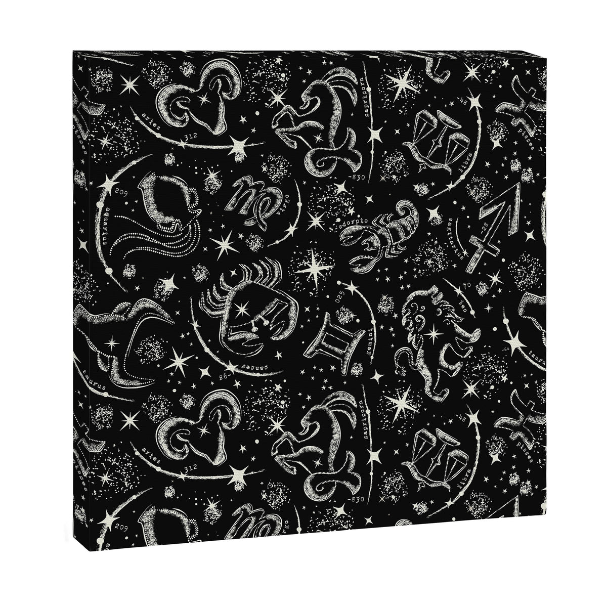 Star Child Canvas Print Gallery Image 6