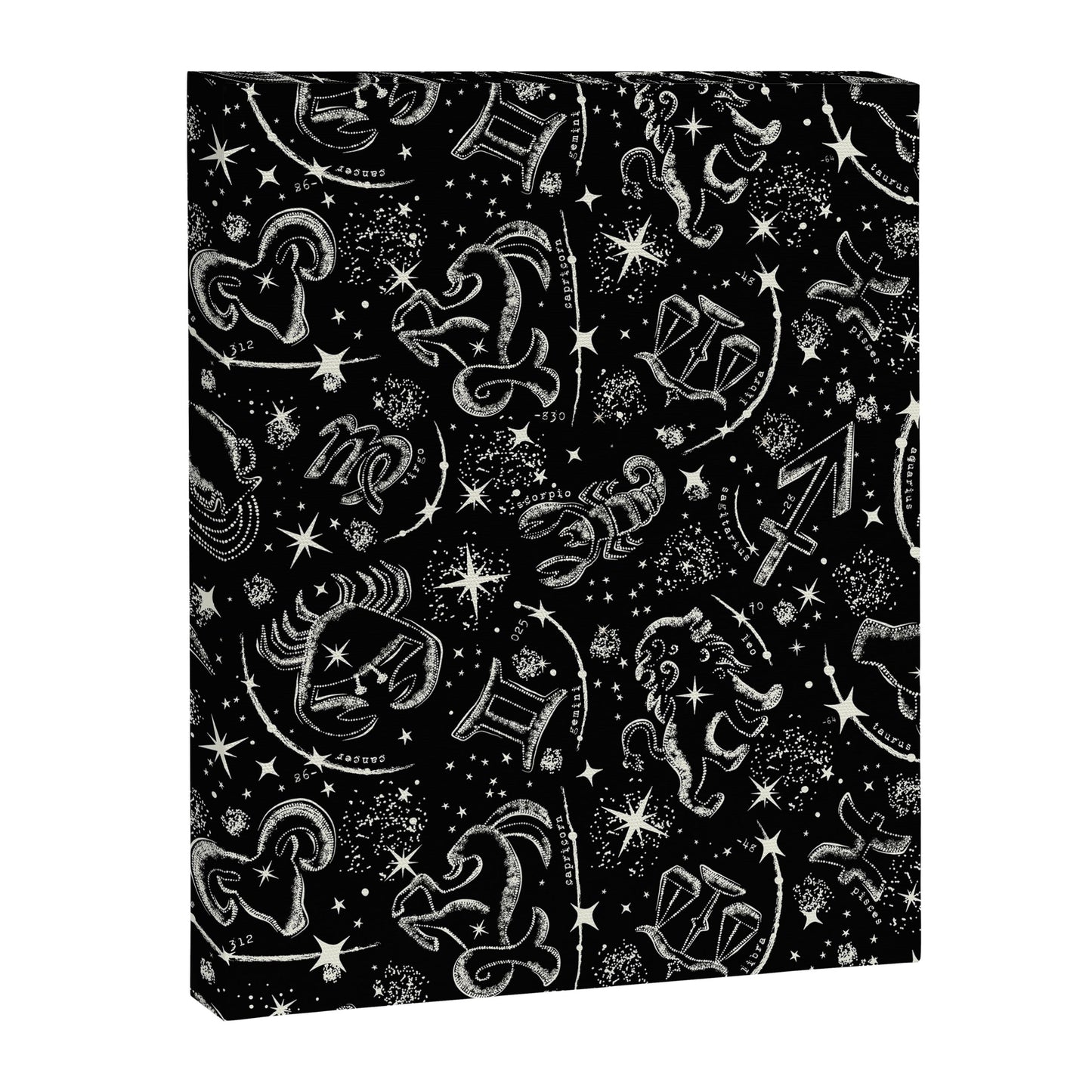 Star Child Canvas Print Gallery Image 3