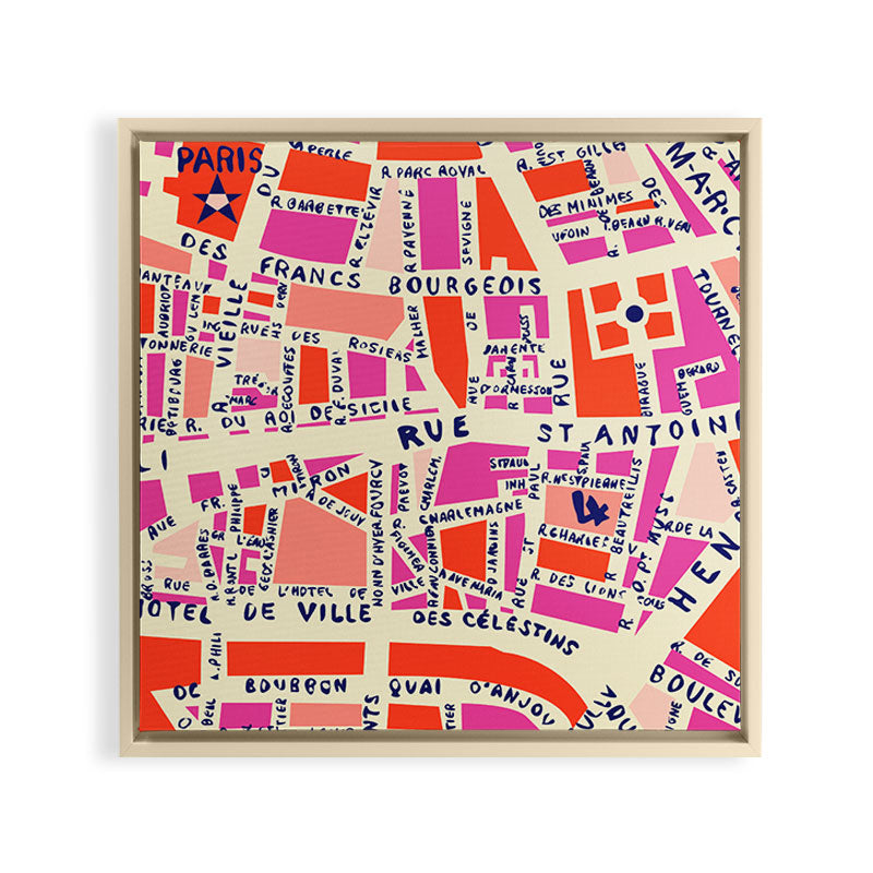 paris map pink Framed Canvas Print Gallery Image 27