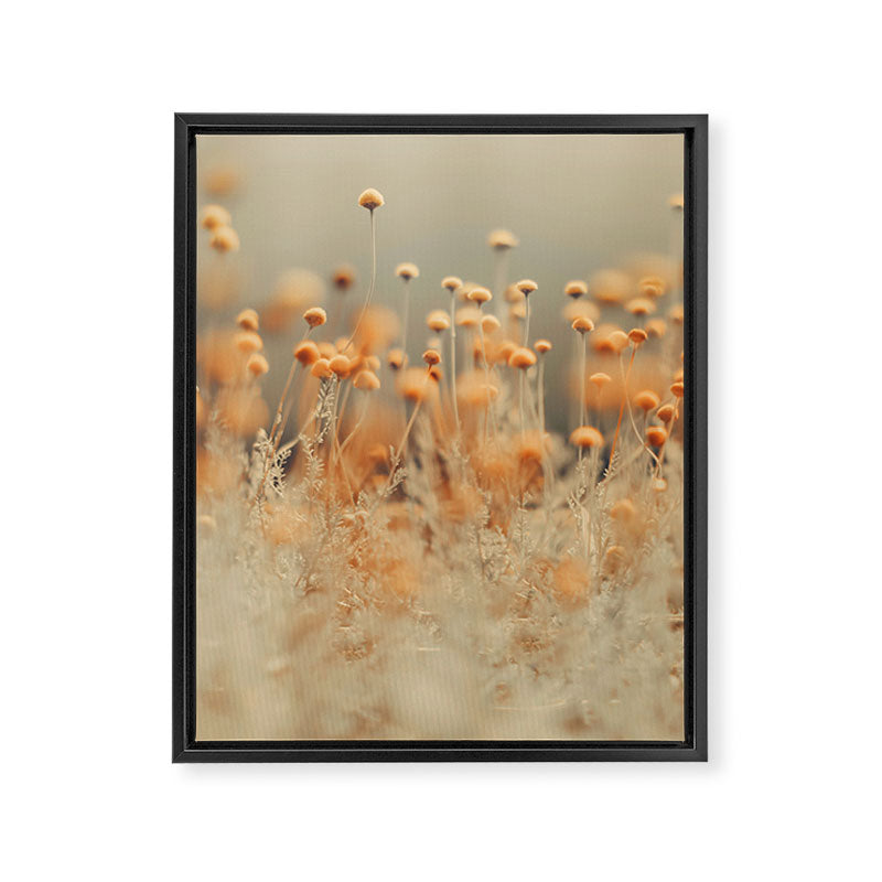 Mustard Yellow Flowers - Flower photography by Ingrid Beddoes Framed Canvas Print Gallery Image 6