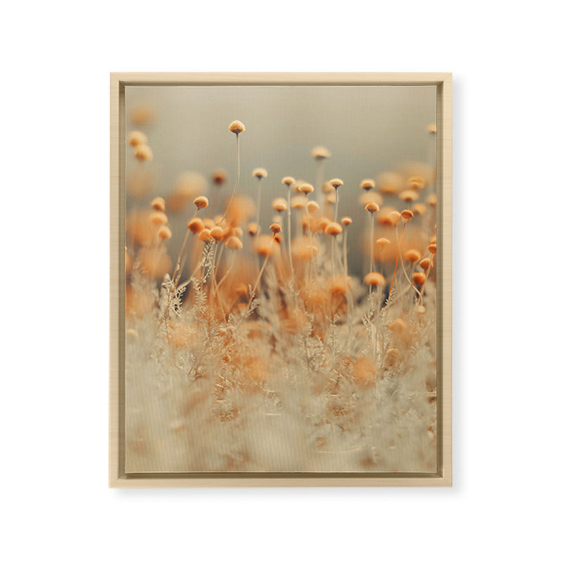 Mustard Yellow Flowers - Flower photography by Ingrid Beddoes Framed Canvas Print Gallery Image 13
