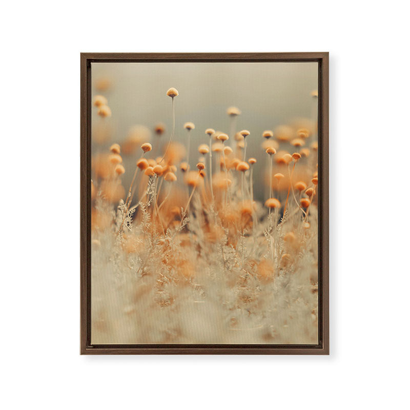 Mustard Yellow Flowers - Flower photography by Ingrid Beddoes Framed Canvas Print Gallery Image 10