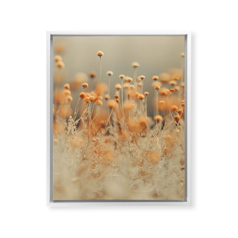 Mustard Yellow Flowers - Flower photography by Ingrid Beddoes Framed Canvas Print Gallery Image 22