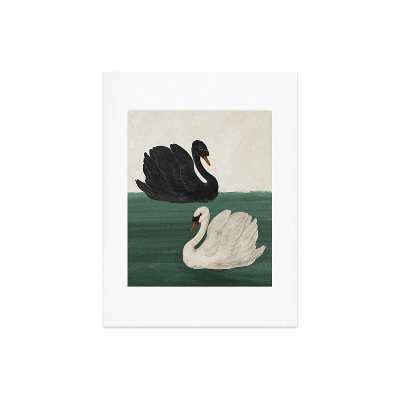 Black Swan White Swan Art Print Gallery Image 4