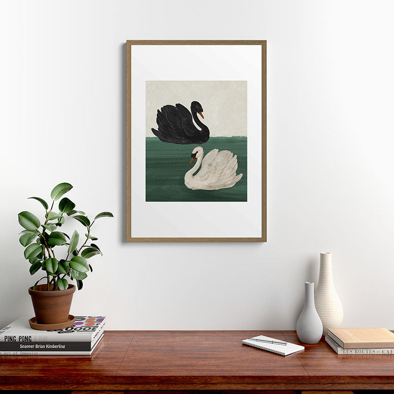 Black Swan White Swan Framed Art Print Gallery Image 8