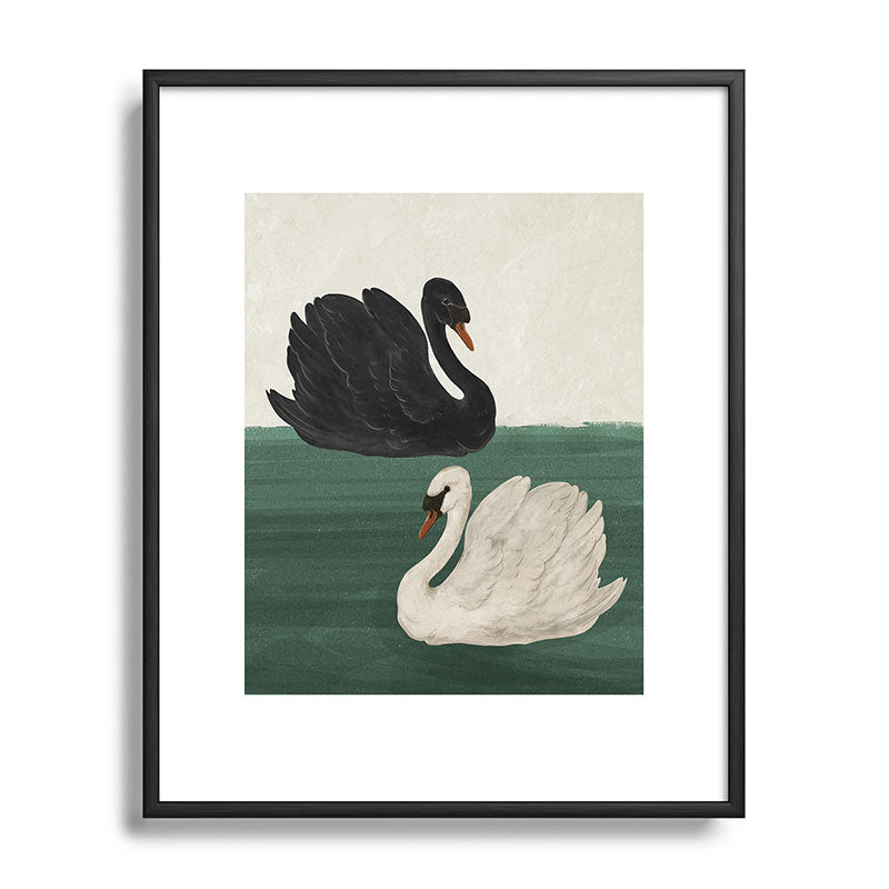 Black Swan White Swan Framed Art Print Gallery Image 49