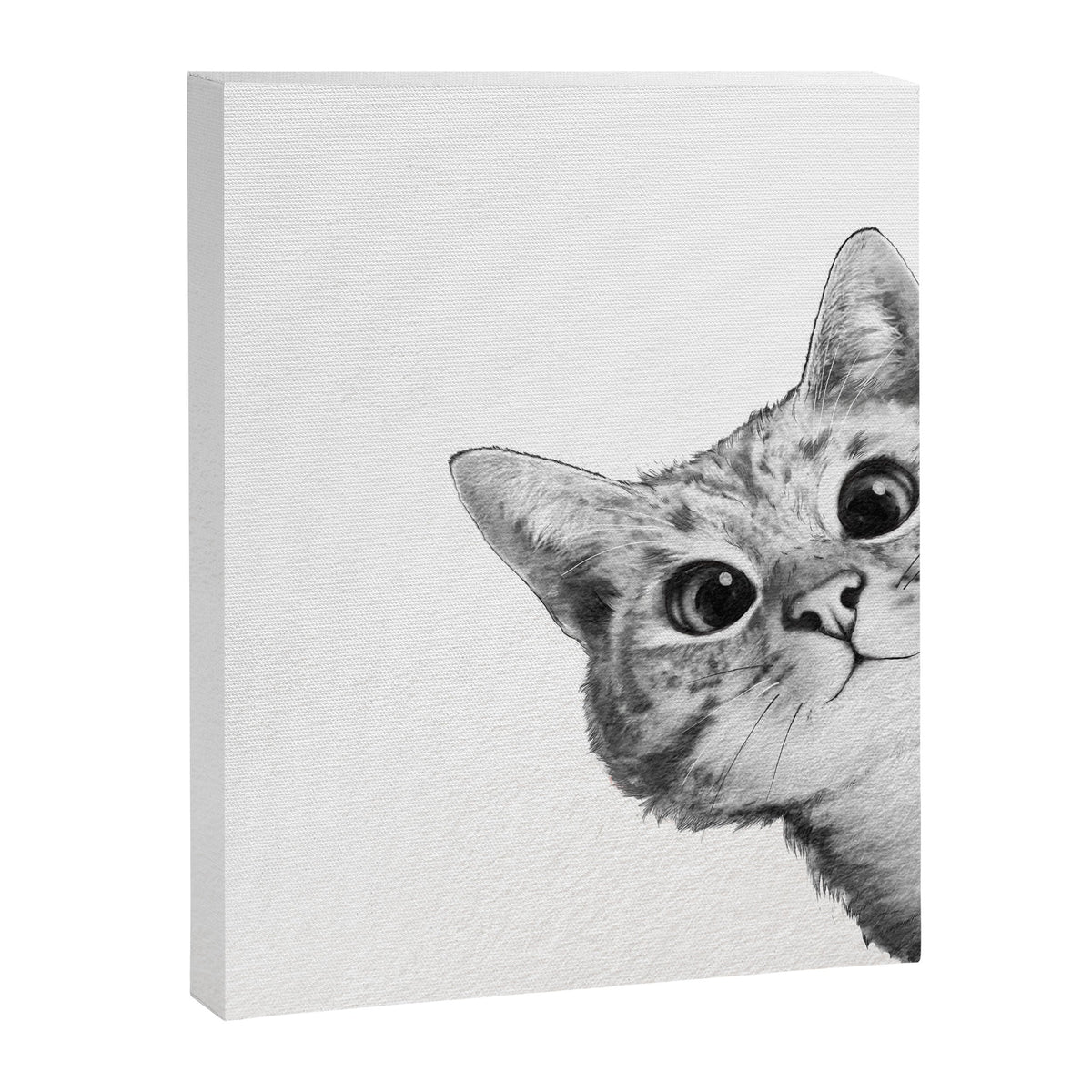 sneaky cat Canvas Print Gallery Image 5